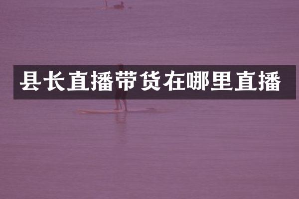 县长直播带货在哪里直播