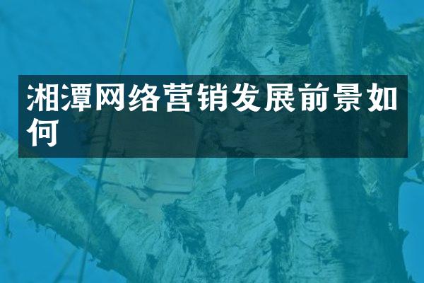 湘潭网络营销发展前景如何