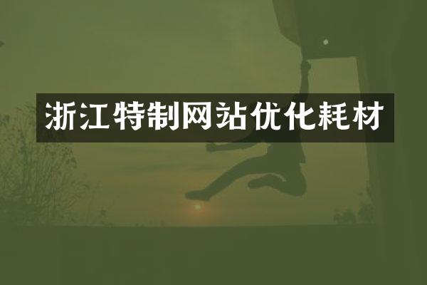 浙江特制网站优化耗材