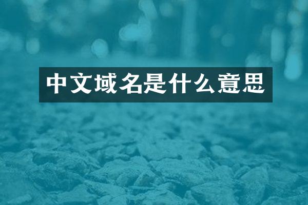 中文域名是什么意思