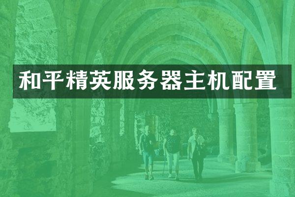和平精英服务器主机配置