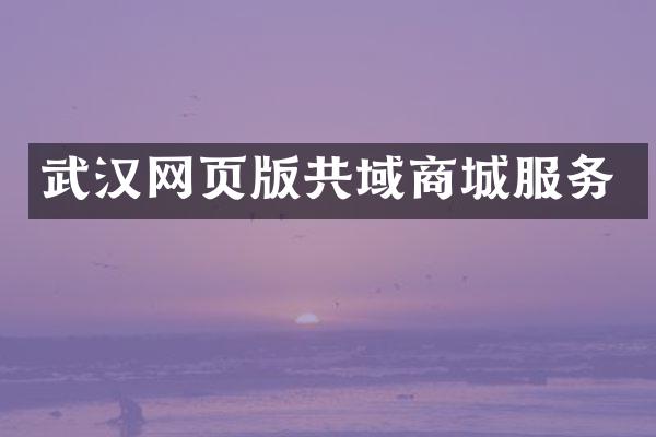 武汉网页版共域商城服务