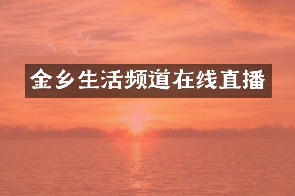 金乡生活频道在线直播