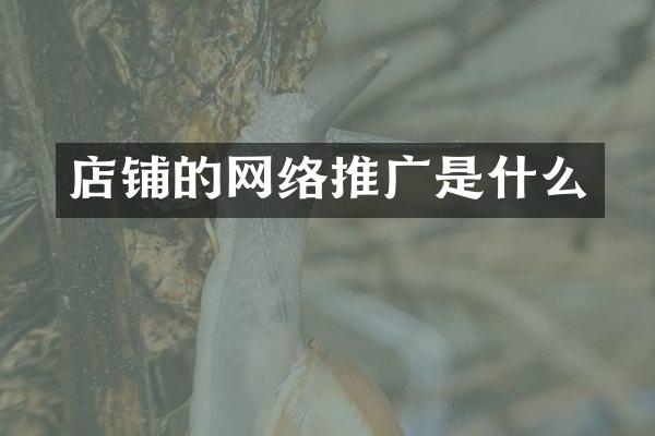 店铺的网络推广是什么