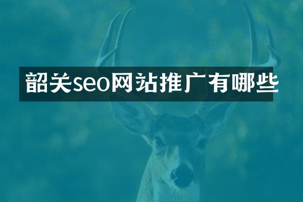 韶关seo网站推广有哪些