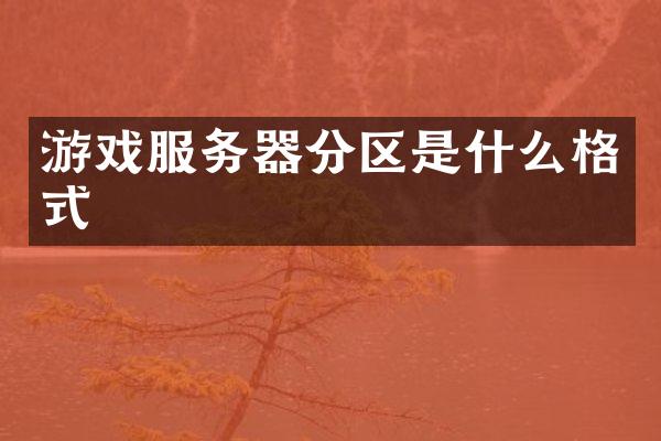 游戏服务器分区是什么格式