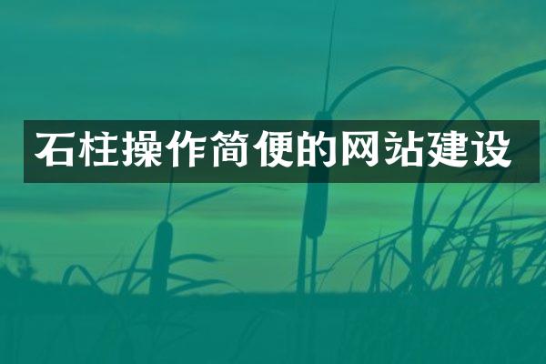 石柱操作简便的网站建设