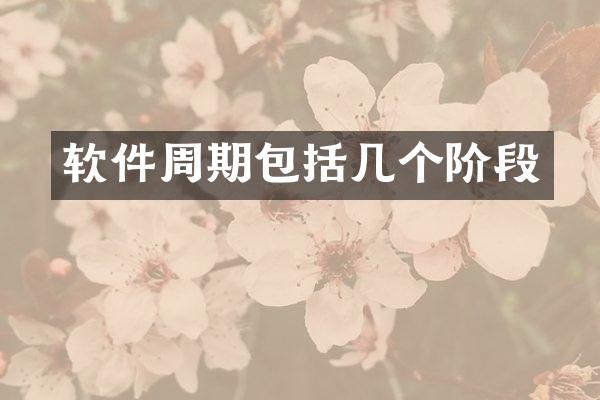 软件周期包括几个阶段