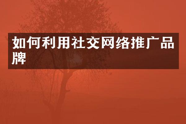 如何利用社交网络推广品牌