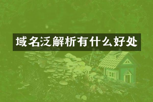 域名泛解析有什么好处