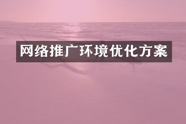 网络推广环境优化方案