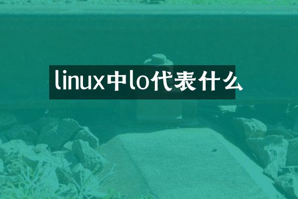 linux中lo代表什么