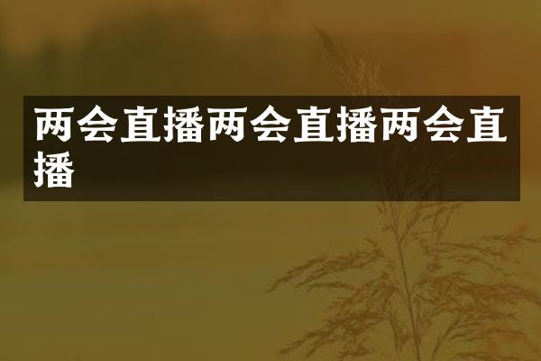 两会直播两会直播两会直播