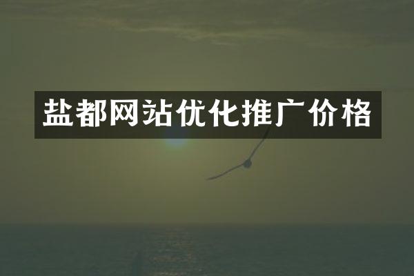 盐都网站优化推广价格