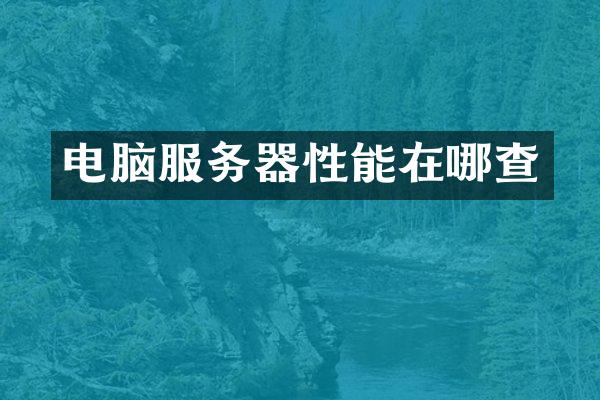 电脑服务器性能在哪查