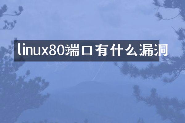 linux80端口有什么漏洞