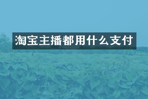 淘宝主播都用什么支付