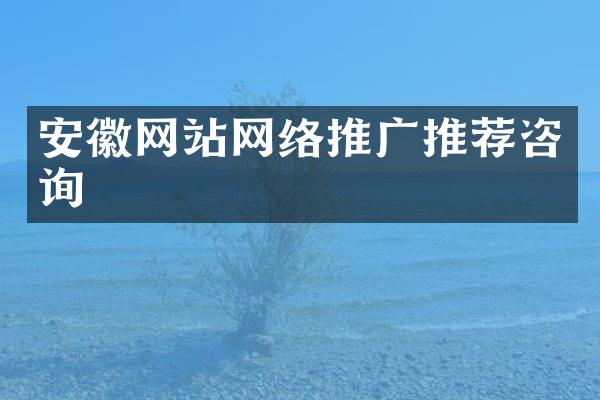 安徽网站网络推广推荐咨询