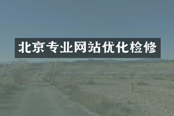 北京专业网站优化检修