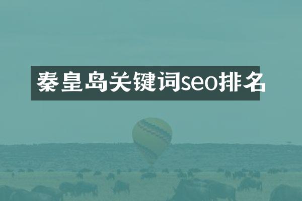 秦皇岛关键词seo排名