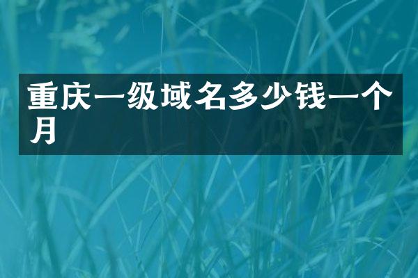 重庆一级域名多少钱一个月