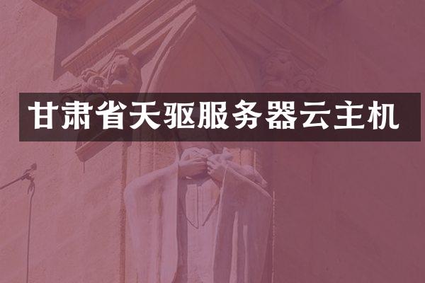 甘肃省天驱服务器云主机