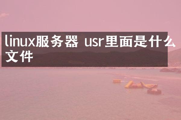 linux服务器 usr里面是什么文件