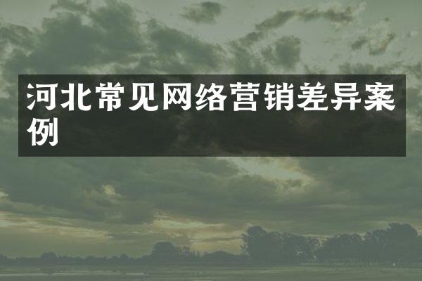 河北常见网络营销差异案例