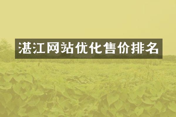湛江网站优化售价排名