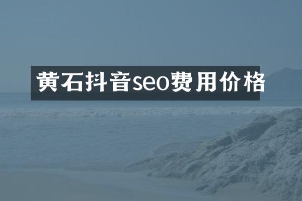 黄石抖音seo费用价格