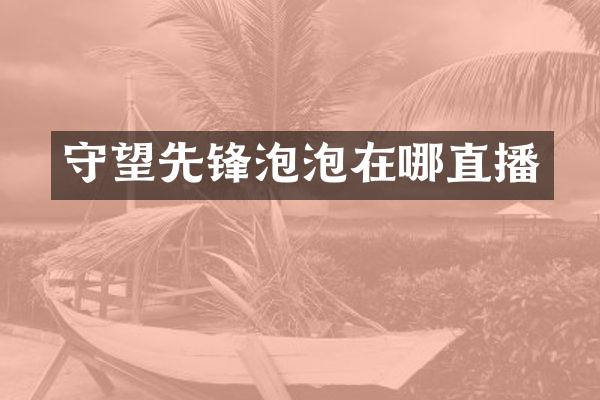守望先锋泡泡在哪直播