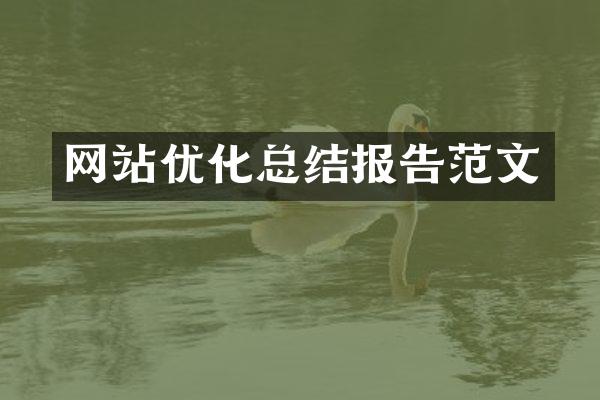 网站优化总结报告范文