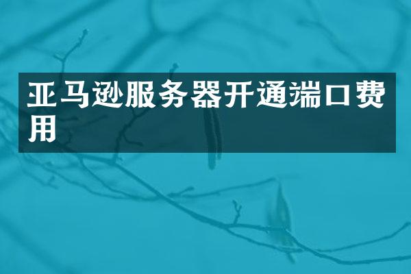 亚马逊服务器开通端口费用