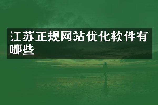 江苏正规网站优化软件有哪些