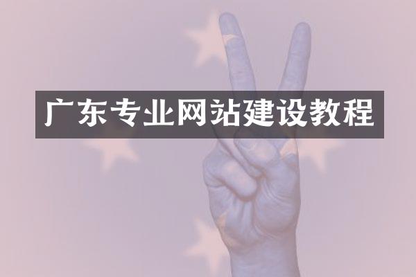 广东专业网站建设教程