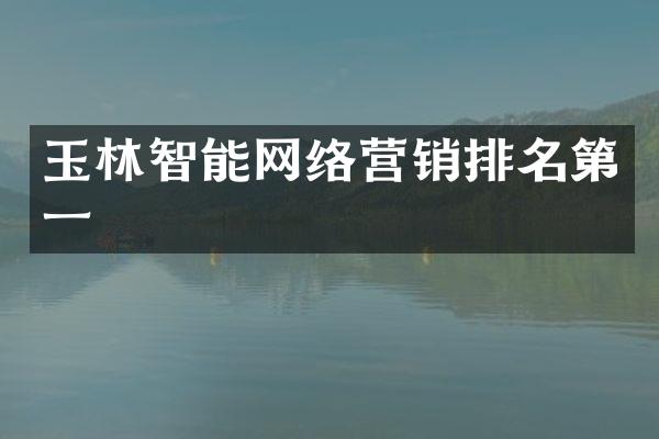 玉林智能网络营销排名第一