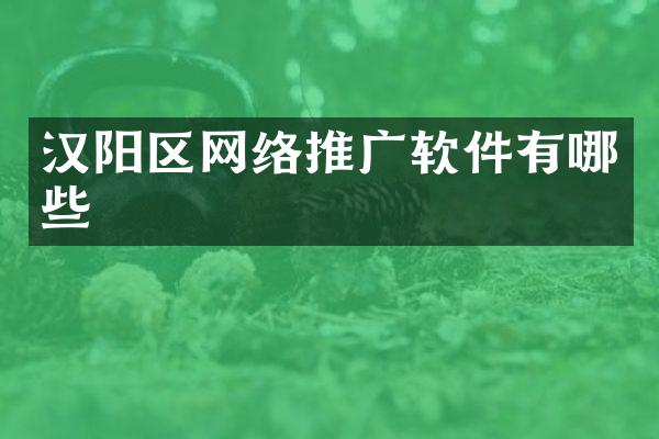 汉阳区网络推广软件有哪些