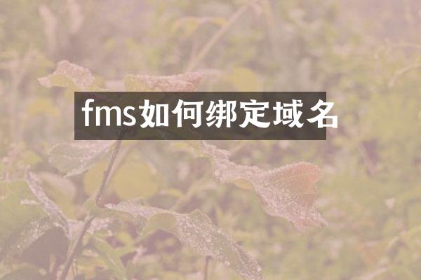 fms如何绑定域名