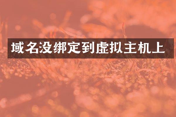 域名没绑定到虚拟主机上