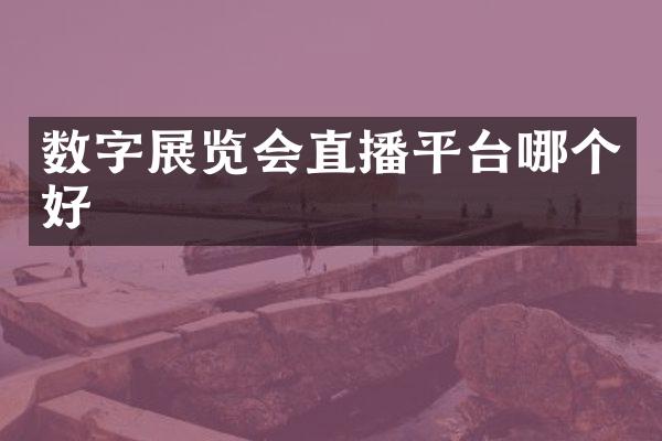 数字展览会直播平台哪个好