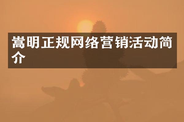嵩明正规网络营销活动简介