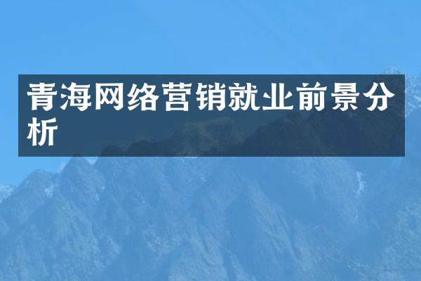 青海网络营销就业前景分析