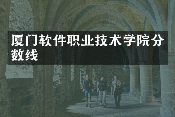 厦门软件职业技术学院分数线