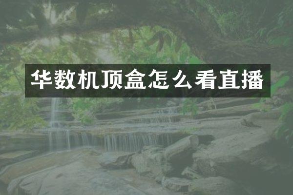 华数机顶盒怎么看直播