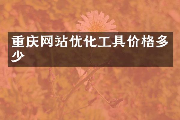 重庆网站优化工具价格多少