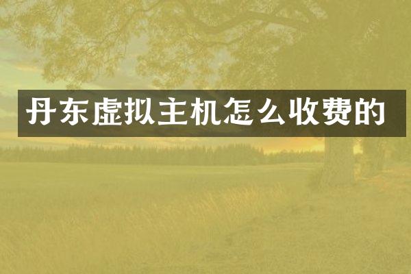 丹东虚拟主机怎么收费的