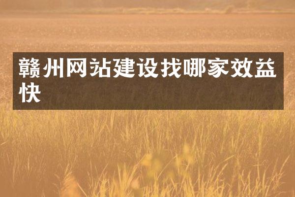 赣州网站建设找哪家效益快