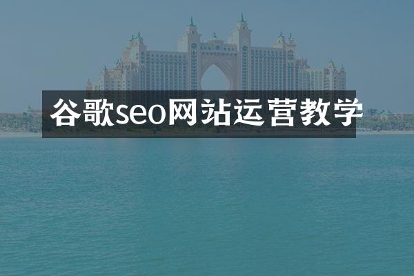 谷歌seo网站运营教学