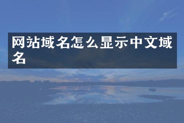 网站域名怎么显示中文域名