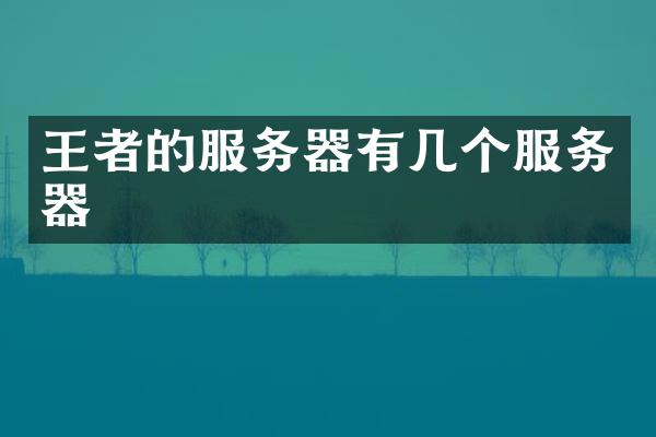 王者的服务器有几个服务器